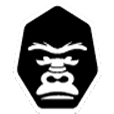Silverback-Safety-Training-Solutions-Inc-Survival-Skills-Catastrophic-Events-Products